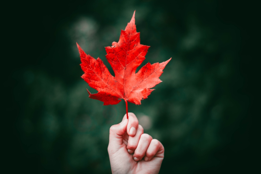 person holding a maple leaf after Fiscal and Economic update 2021