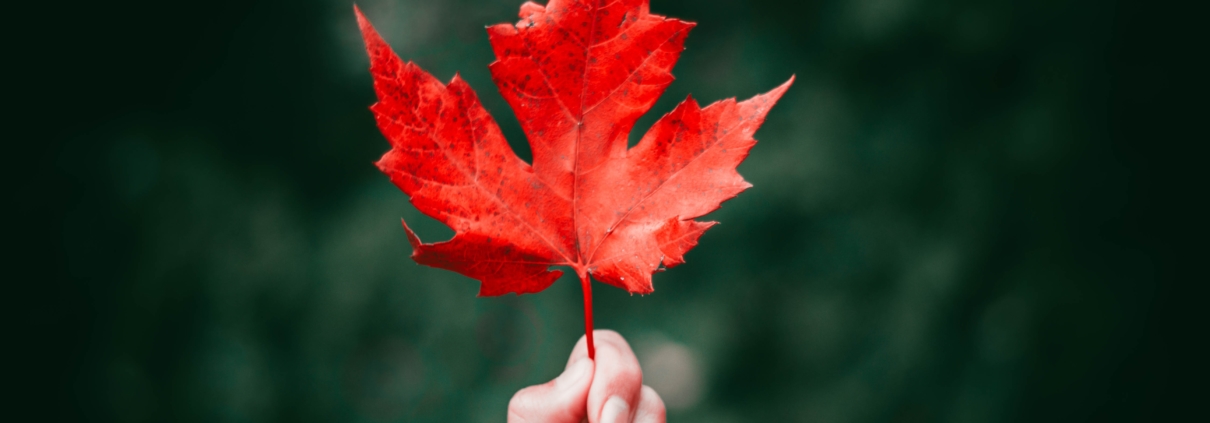 person holding a maple leaf after Fiscal and Economic update 2021