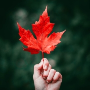 person holding a maple leaf after Fiscal and Economic update 2021