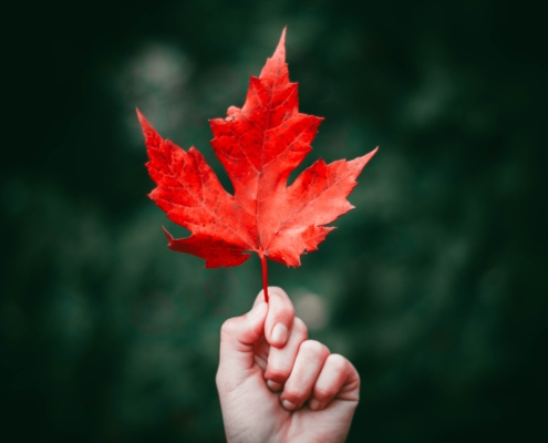 person holding a maple leaf after Fiscal and Economic update 2021