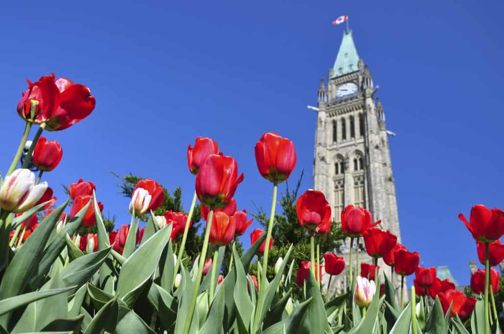 Parliament Hill in Ottawa after Budget 2024 was delivered