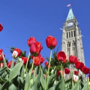 Parliament Hill in Ottawa after Budget 2024 was delivered