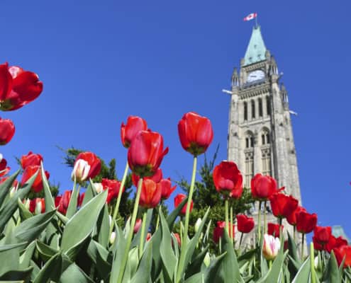 Parliament Hill in Ottawa after Budget 2024 was delivered